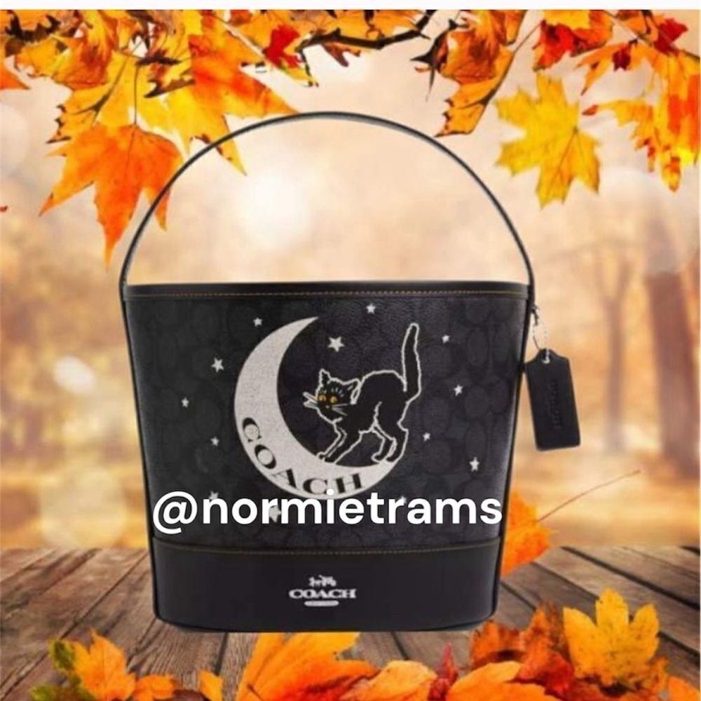 Trick Or Treat Bucket In Signature Canvas With Halloween Black Cat Graphic Bag - Picture 2 of 7